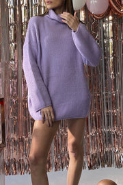Muse Turtleneck Sweater Dress