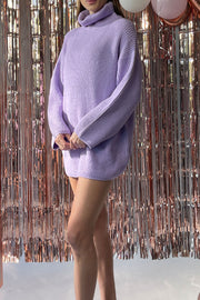 Muse Turtleneck Sweater Dress